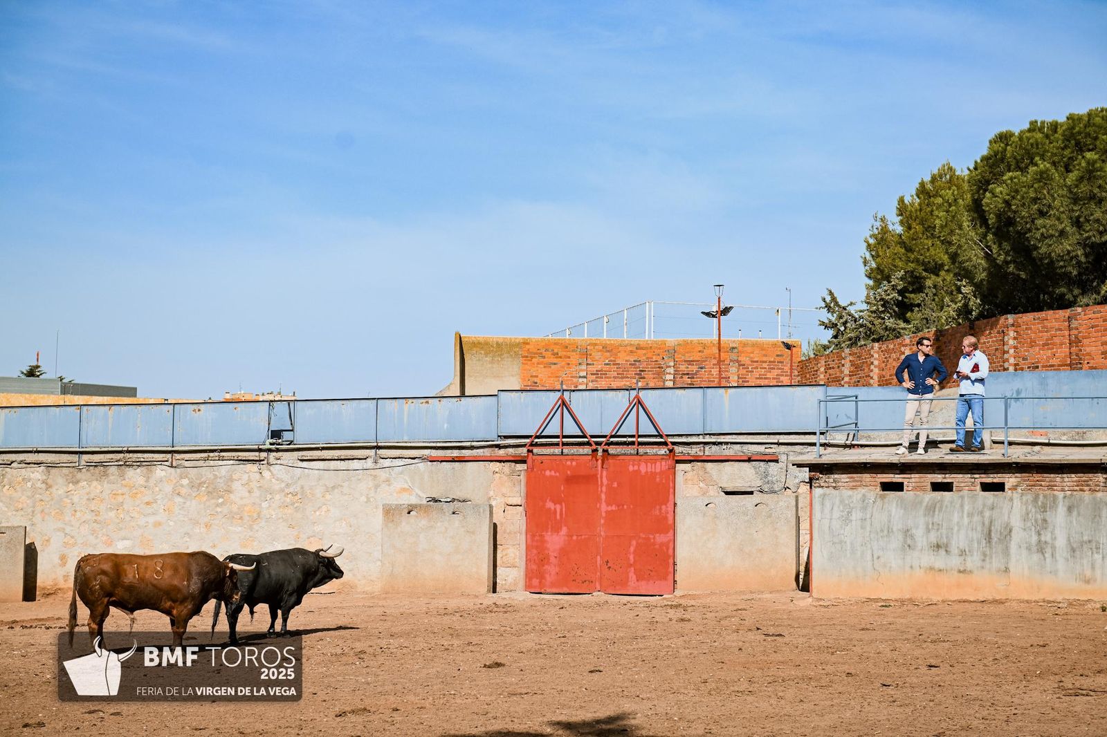 De 'Filósofo' a 'Volador': los toros García y Olga Jiménez para el regreso de Morante a La Glorieta con Ismael Martín y Marco Pérez