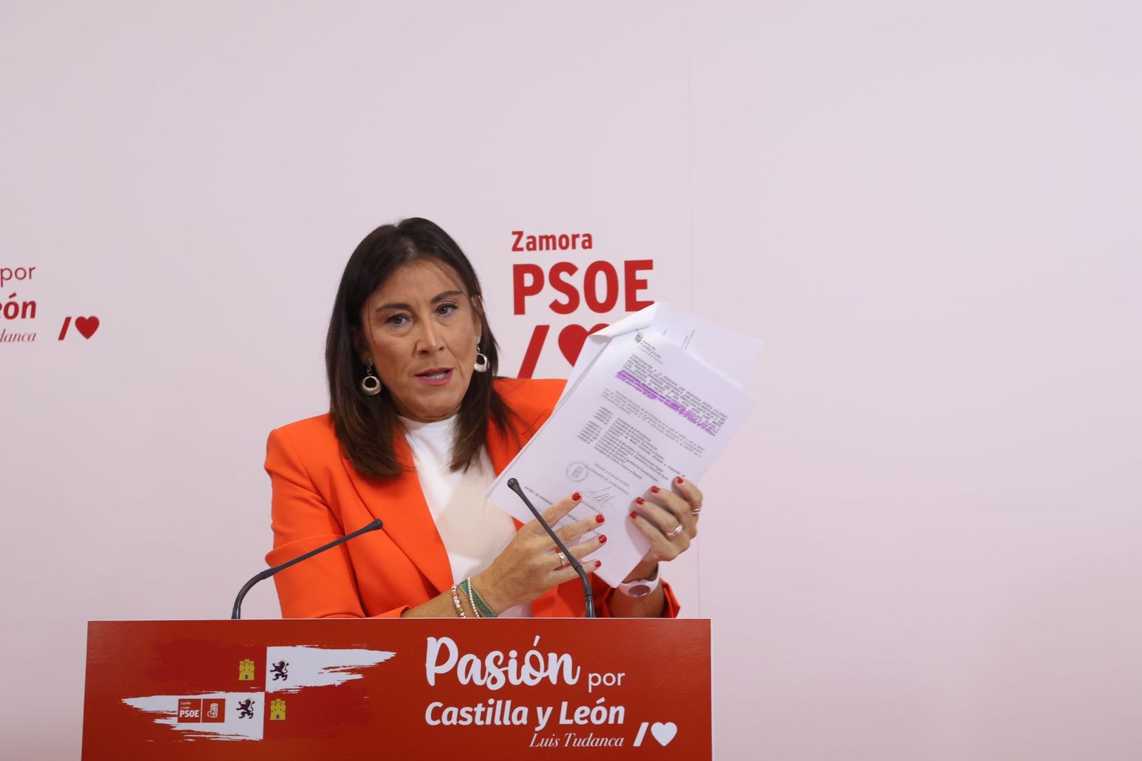 El PSOE solicita la inclusión de 700 millones de euros para la Sierra de la Culebra en los presupuestos autonómicos de 2025: “No se les cae la cara de vergüenza”