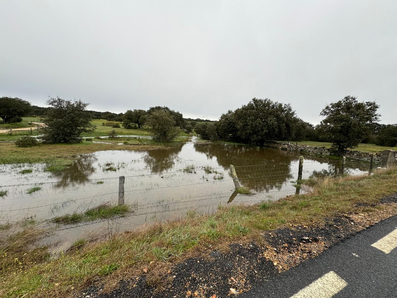 GALERÍA | Efectos de la borrasca 'Nelson' en la provincia de Salamanca
