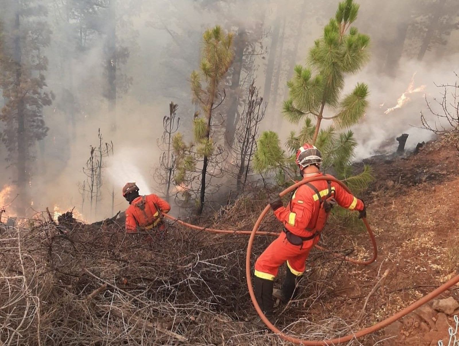 Efectivos de extinción de incendios en los trabajos para acabar con el fuego del incendio forestal. Foto de archivo