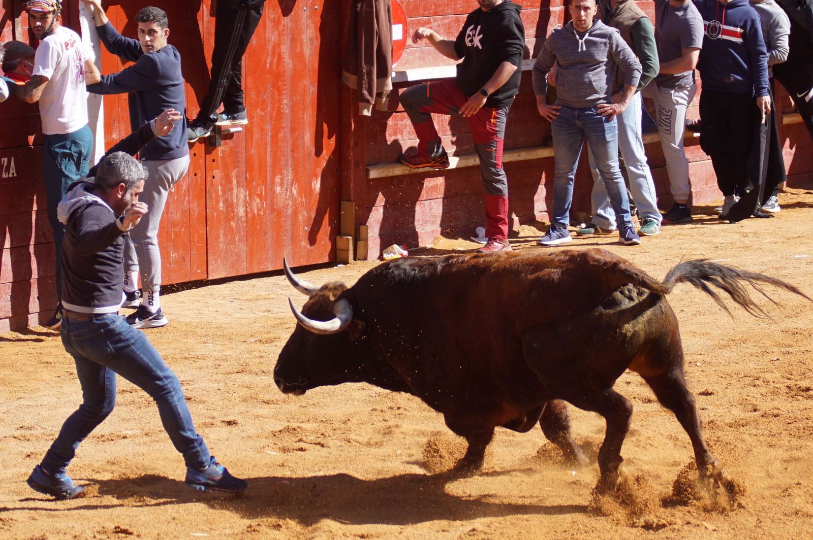 encierro-capea-y-ambiente-en-ciudad-rodrigo-en-este-lunes-de-carnaval-17