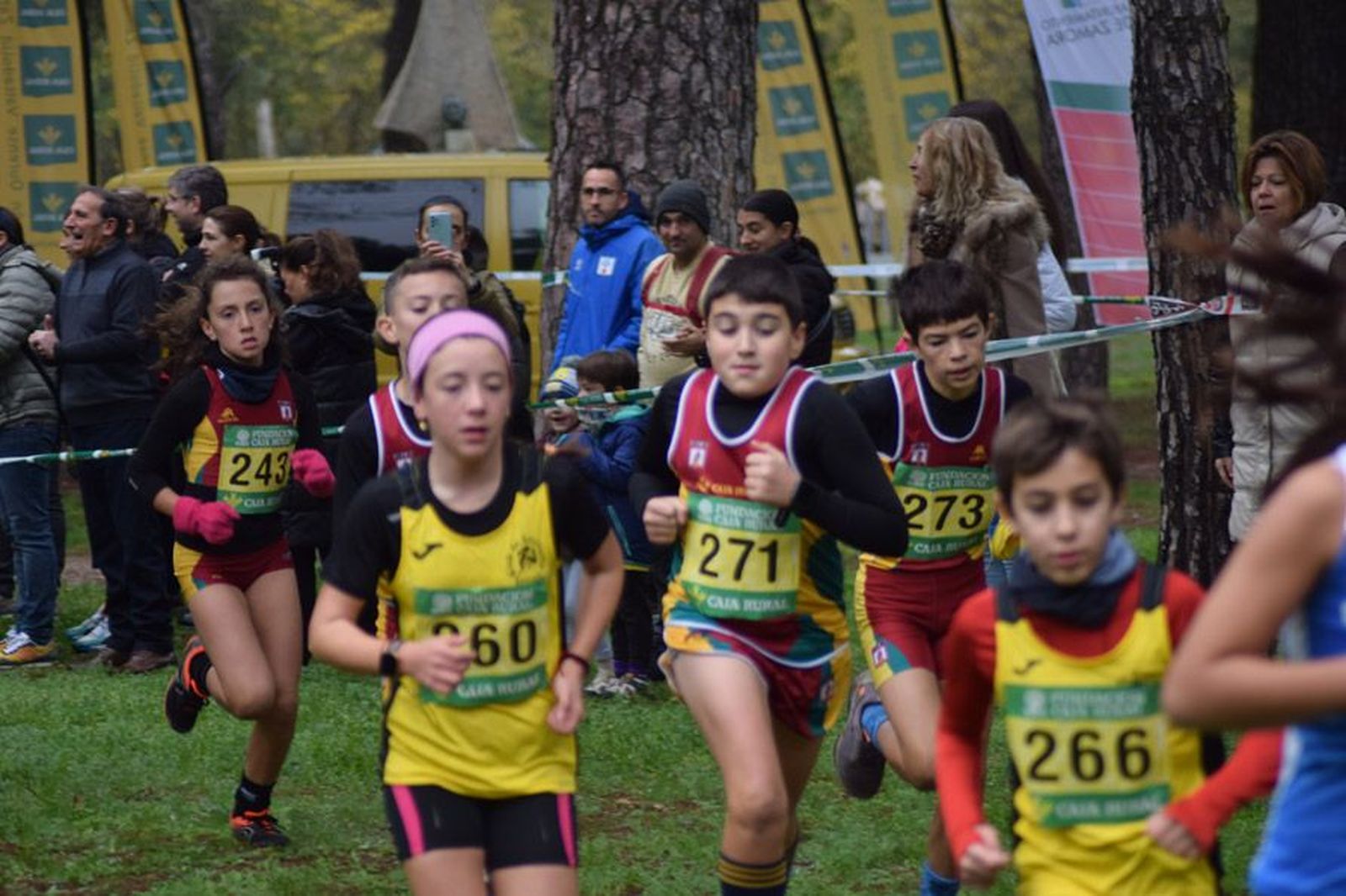 cross-de-otono-en-el-bosque-de-valorio-54