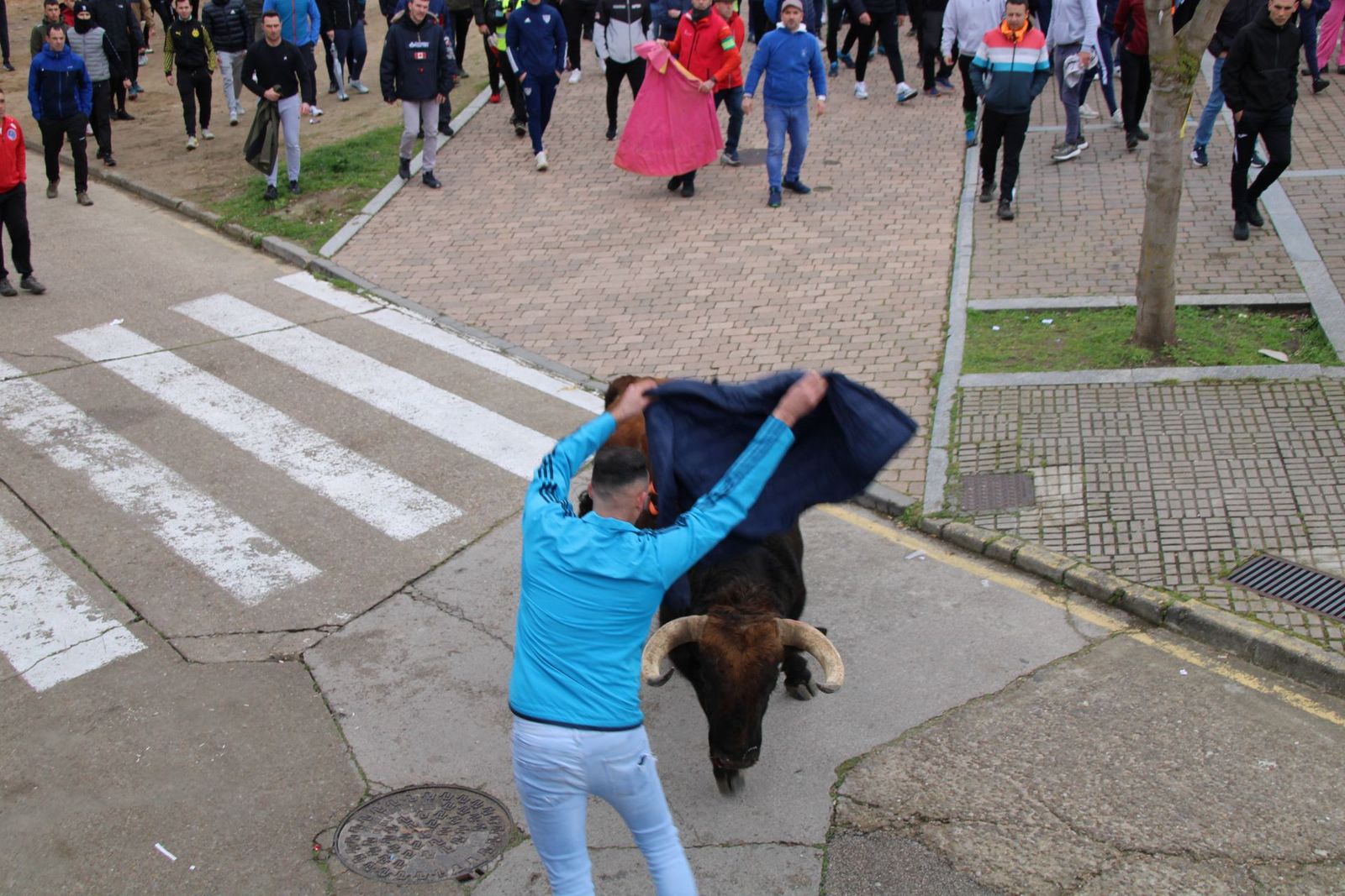 whatsapp-image-2025-03-01-at-11-56-22