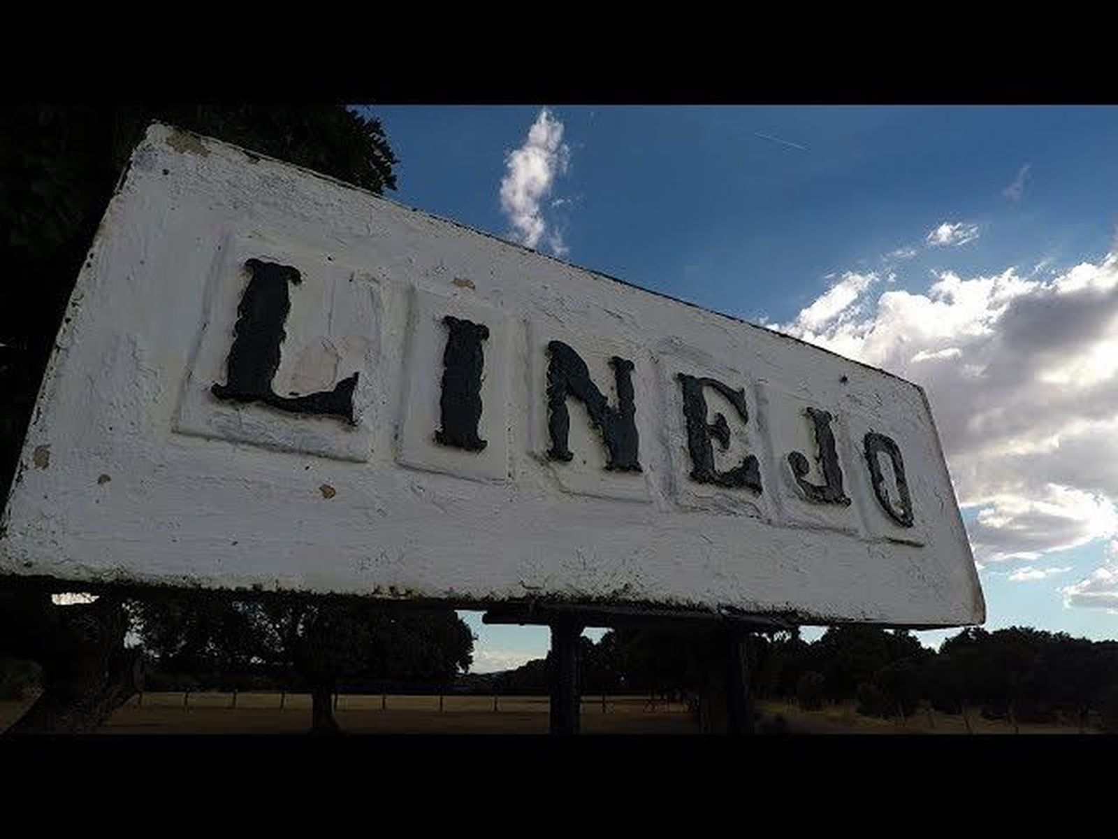 Liricoso, toro indultado en Salamanca, Ganadería de Montalvo