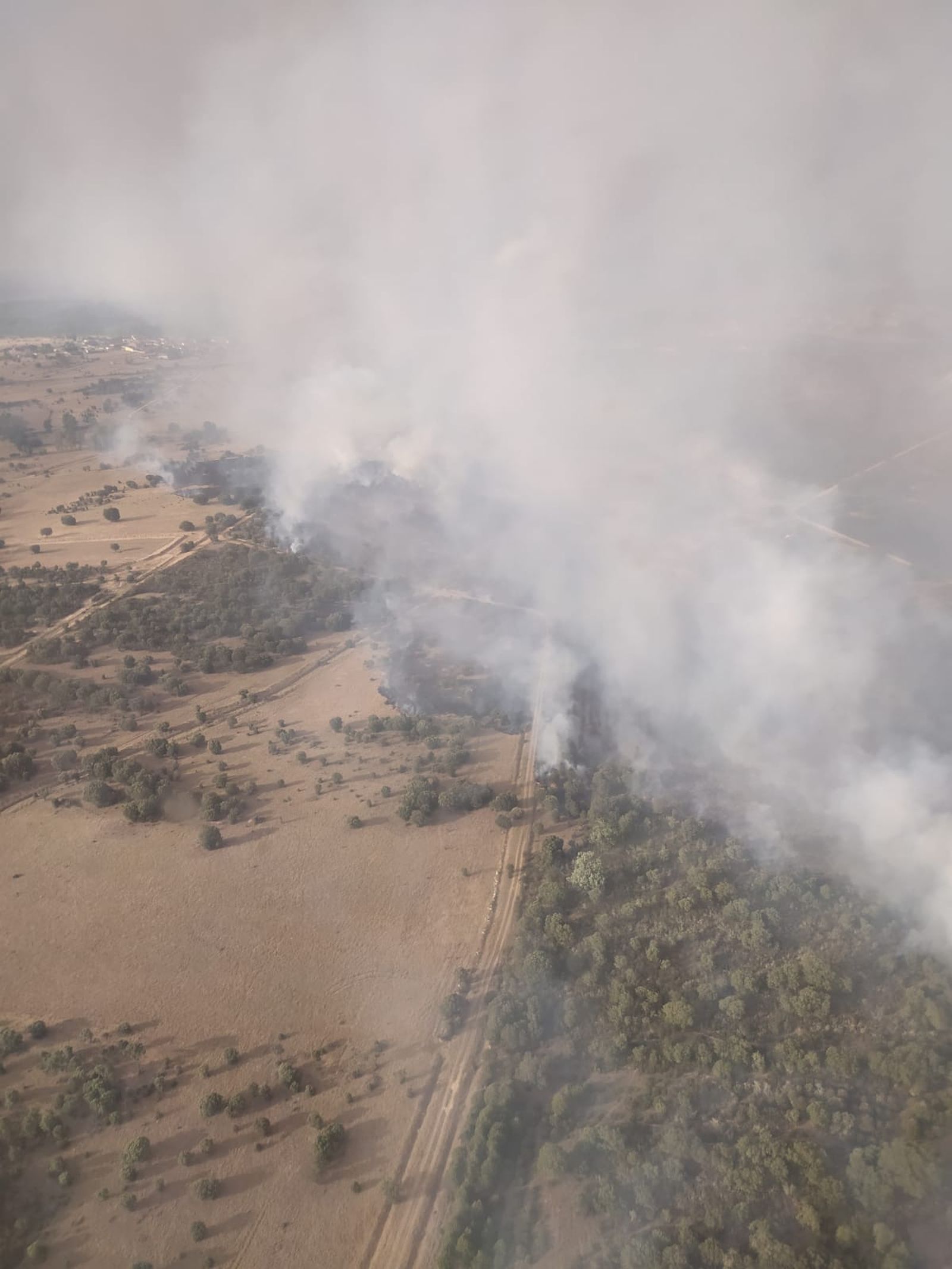incendio-en-la-sierra-de-la-culebra-4