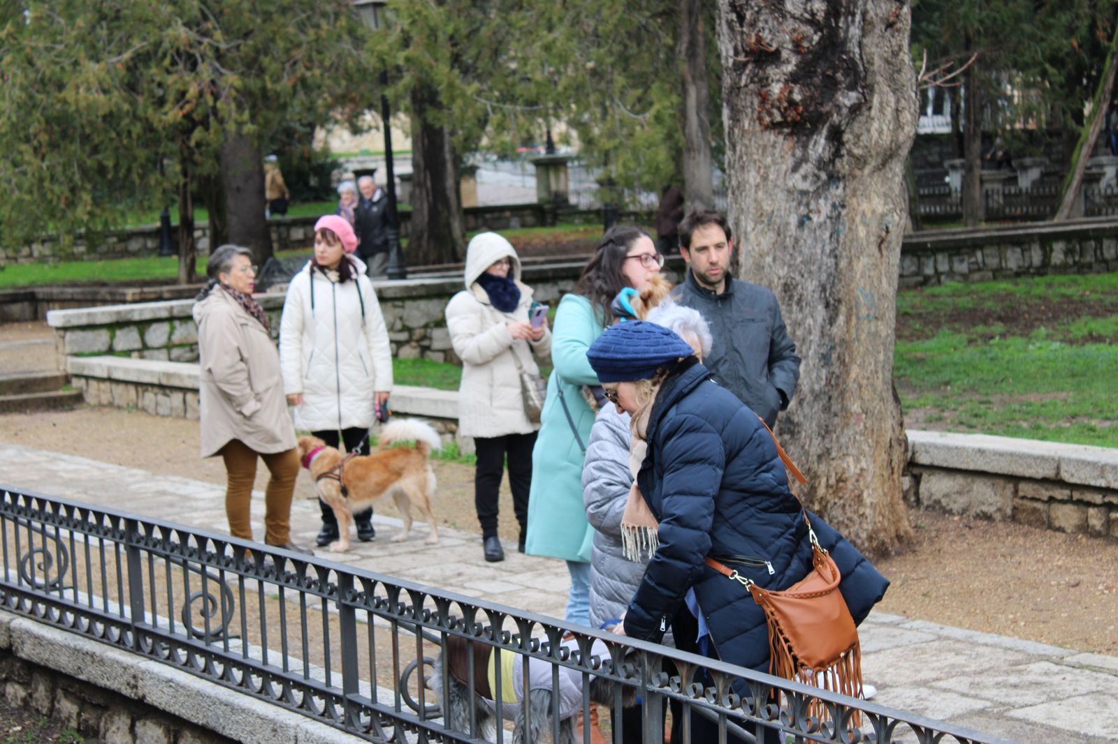 san-anton-bendicion-de-animales-2024-foto-s24h-37