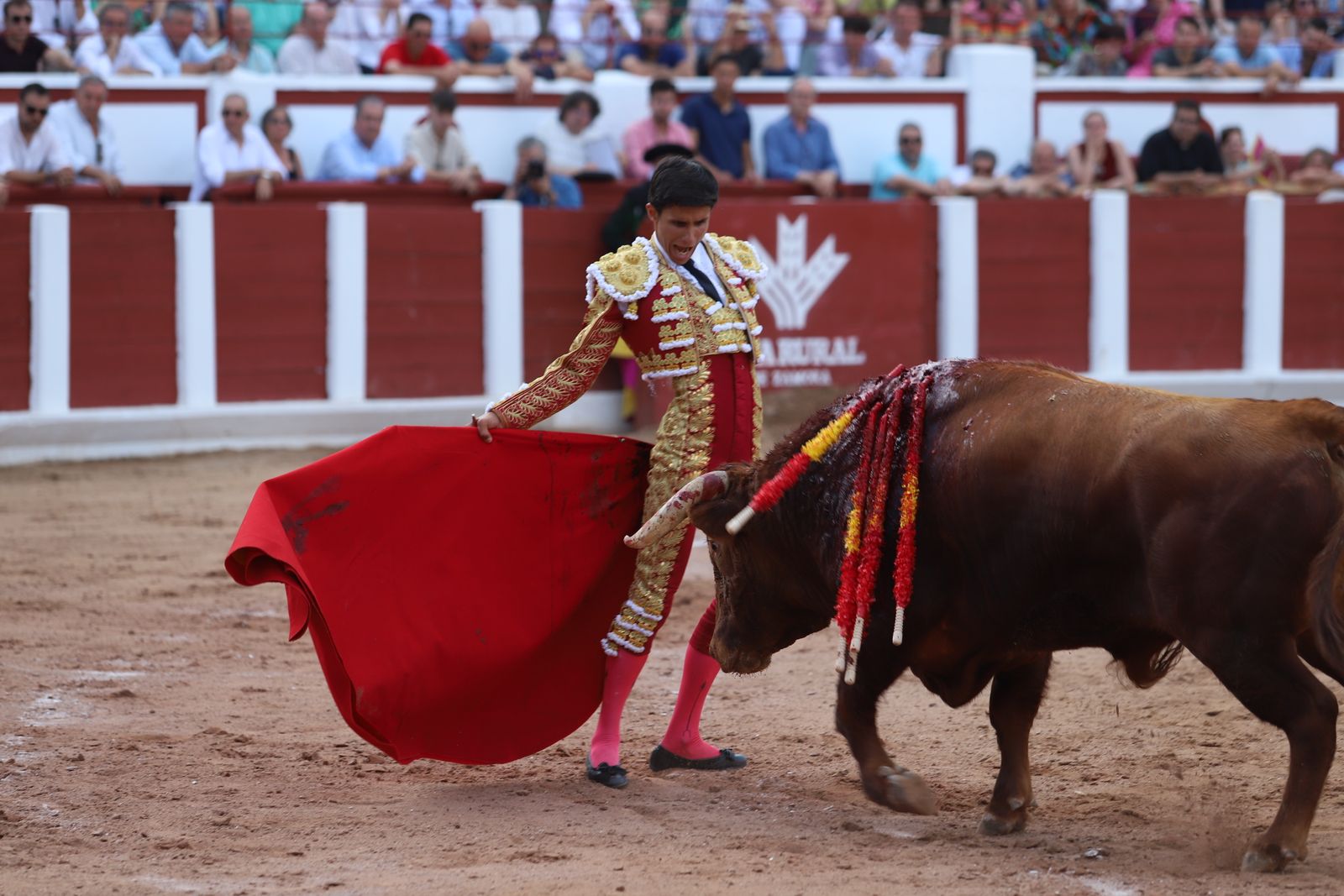 GALERÍA | Corrida de la Feria Taurina de San Pedro 2025