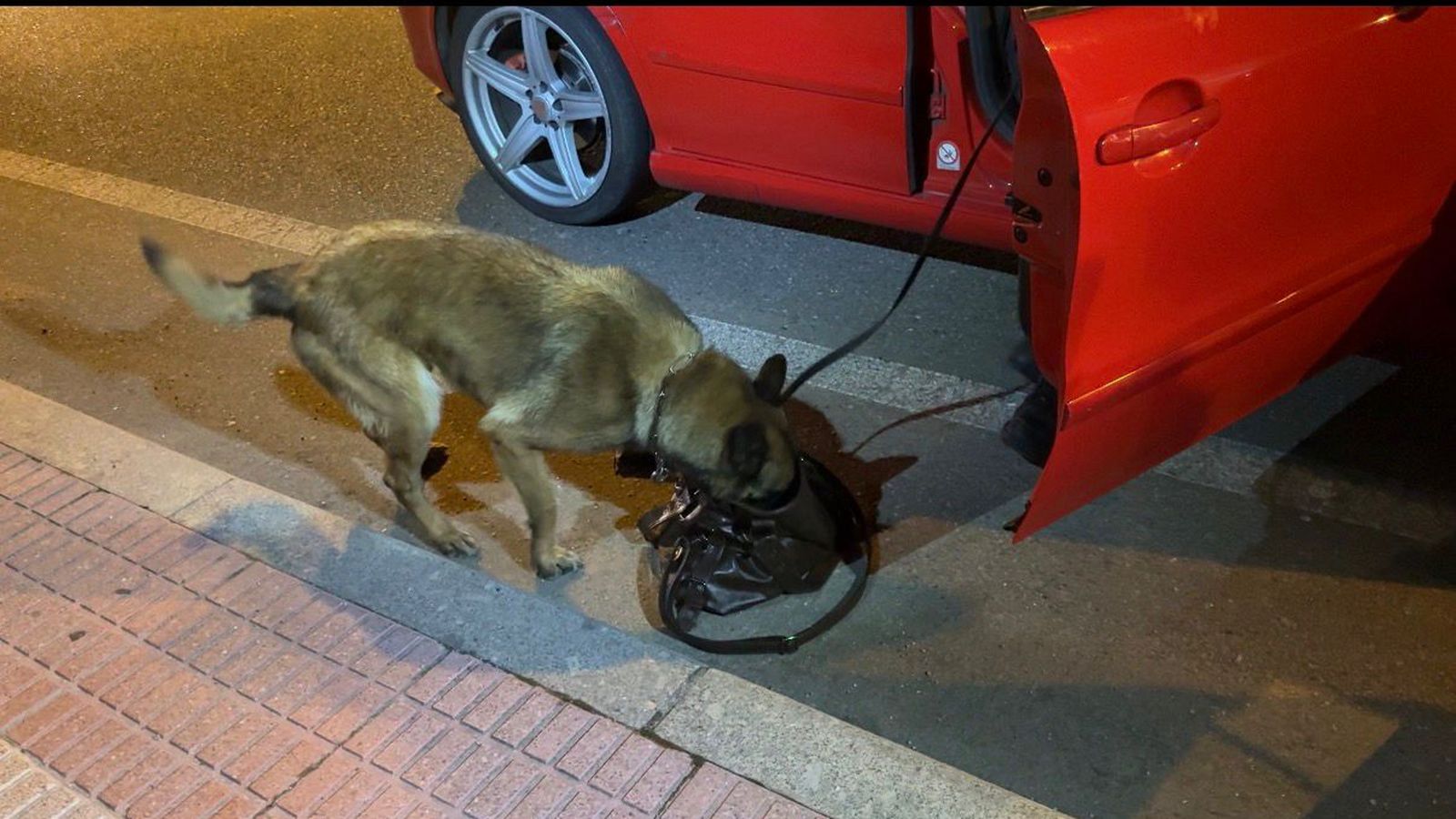 Por tierra y aire: así se desplegó el operativo de la Policía Nacional en el Fin de Año Universitario
