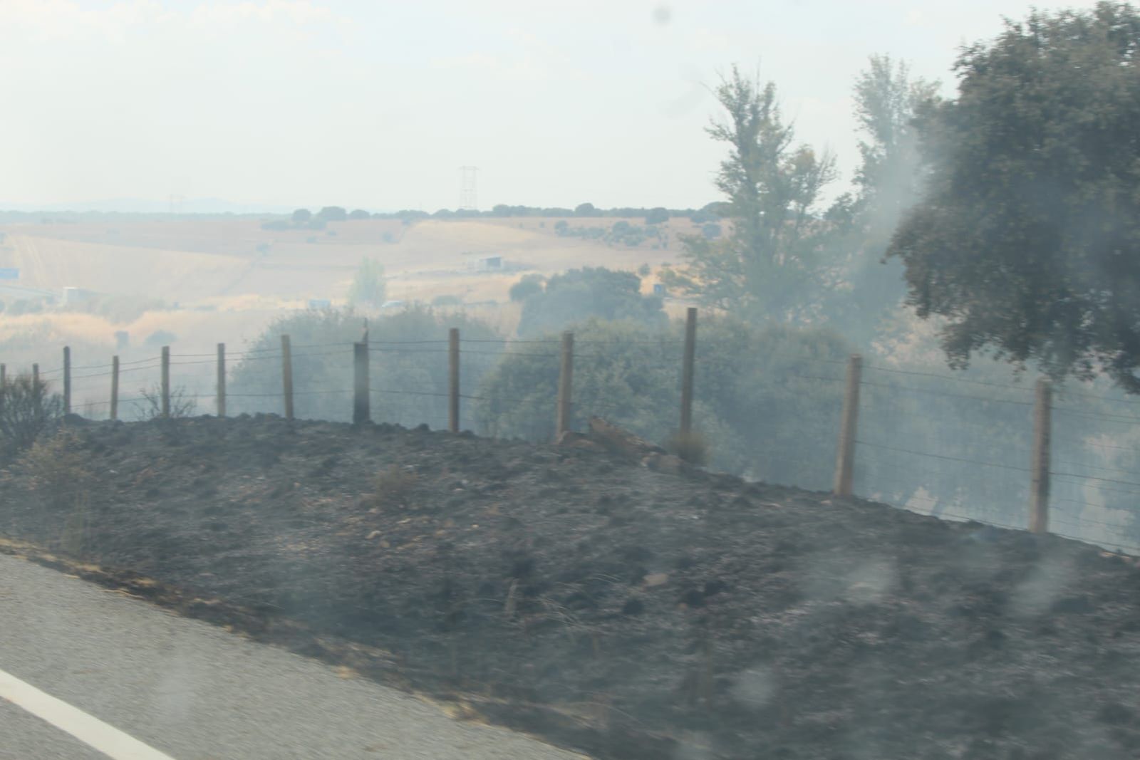 whatsapp-image-2024-09-02-at-14-28-37