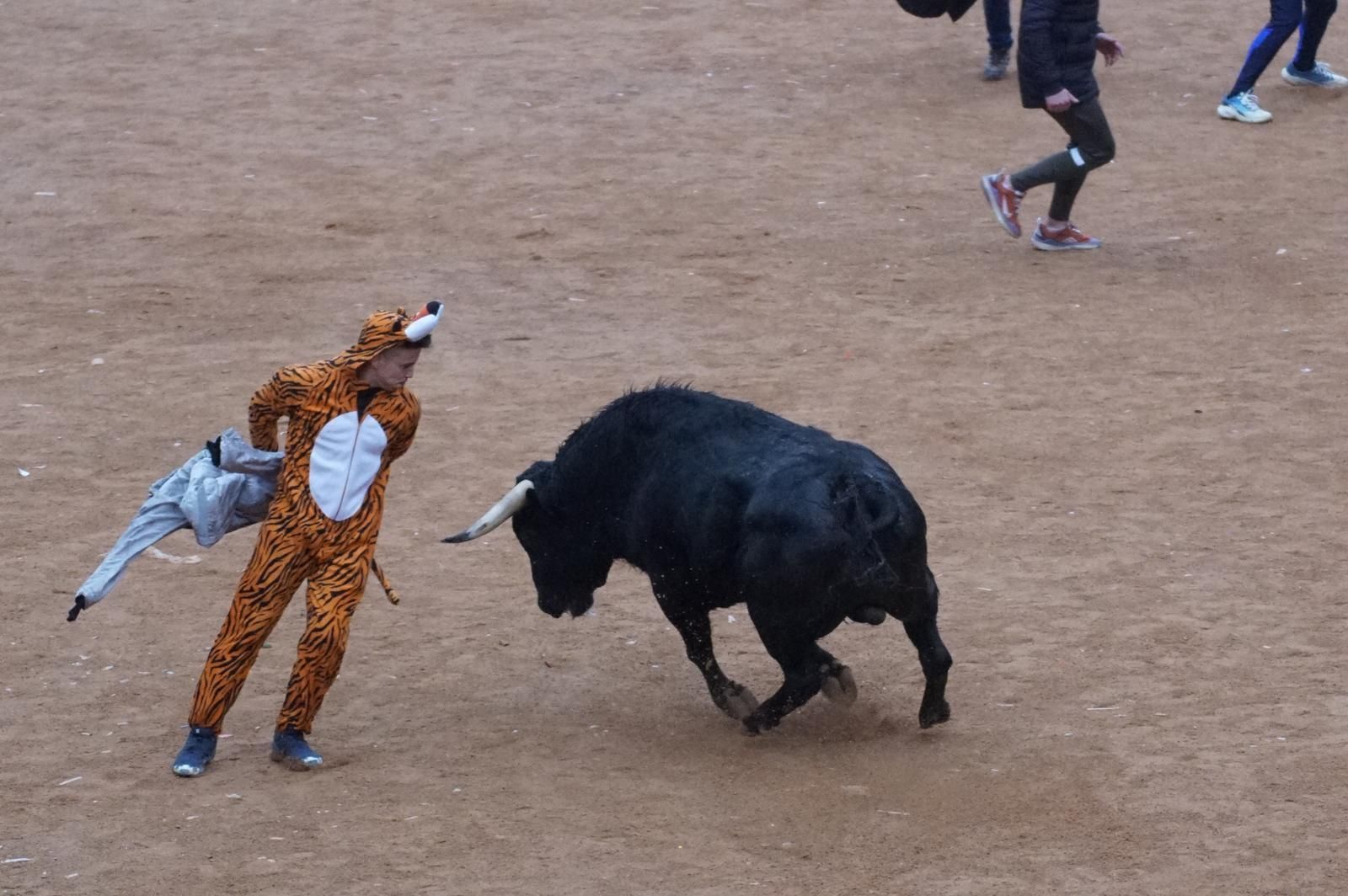 Capea matinal de domingo de carnaval en Ciudad Rodrigo (64).jpeg