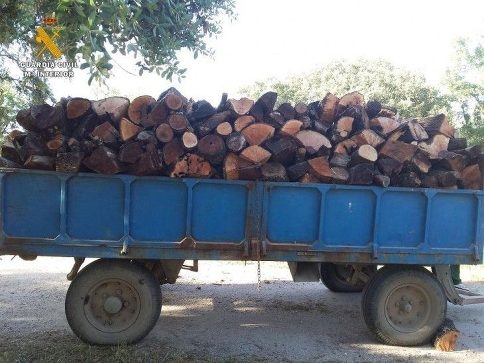 Dos detenidos por hurtar más de 13.000 kilos de leña en Campillo de Azaba