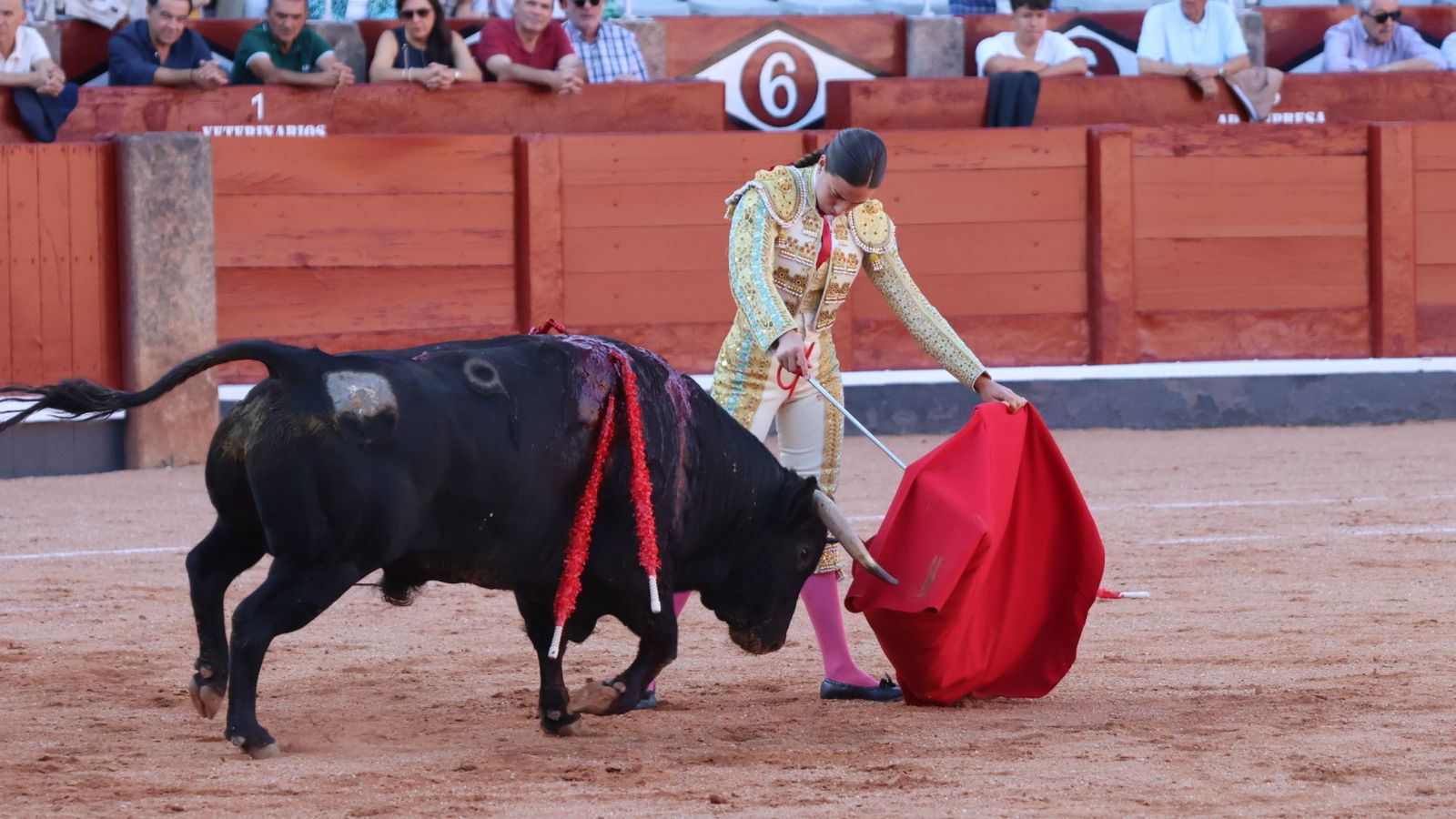 Raquel Martín ante su primer novillo de Montalvo 'Ojovivo'
