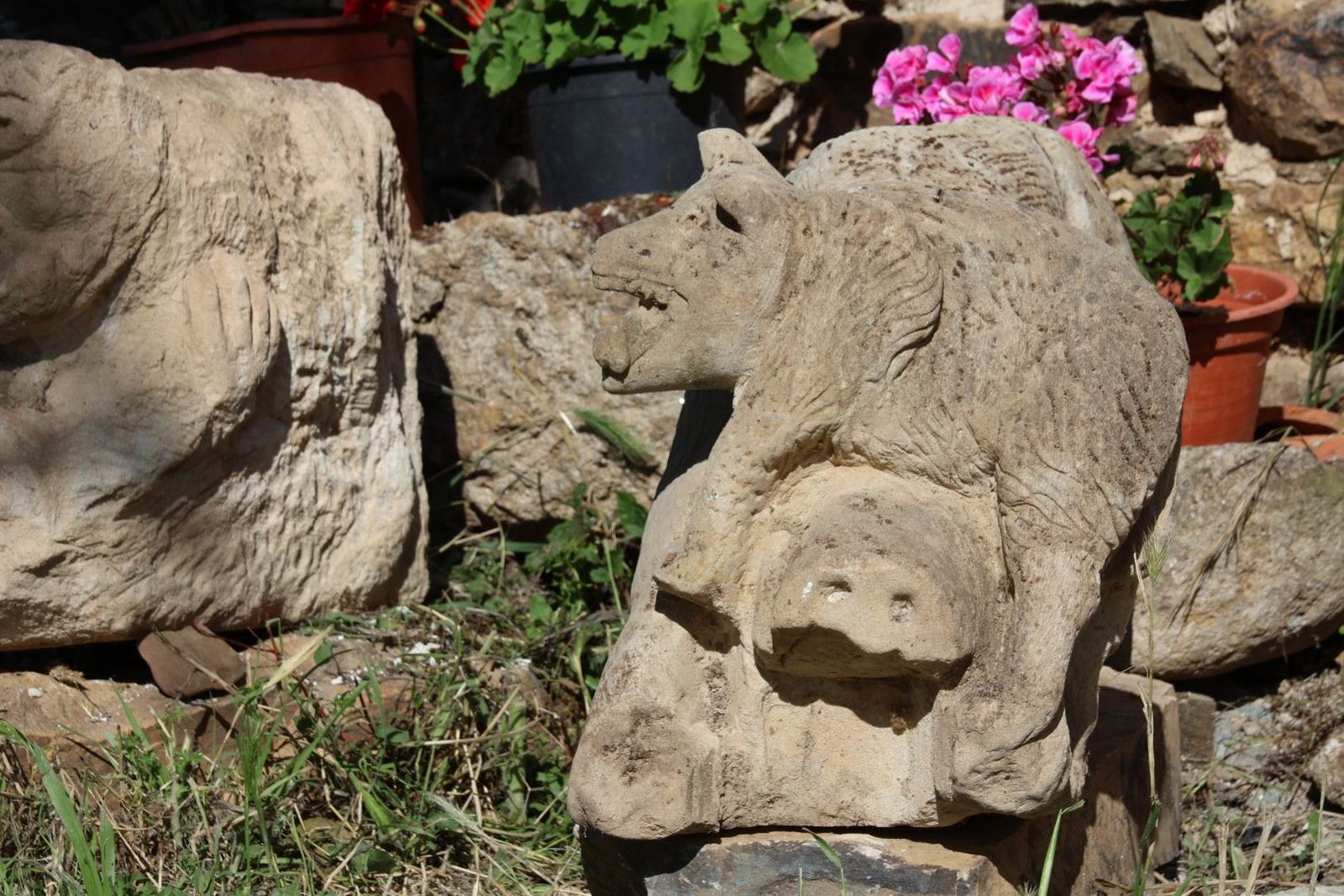 20230614092632-img-2666