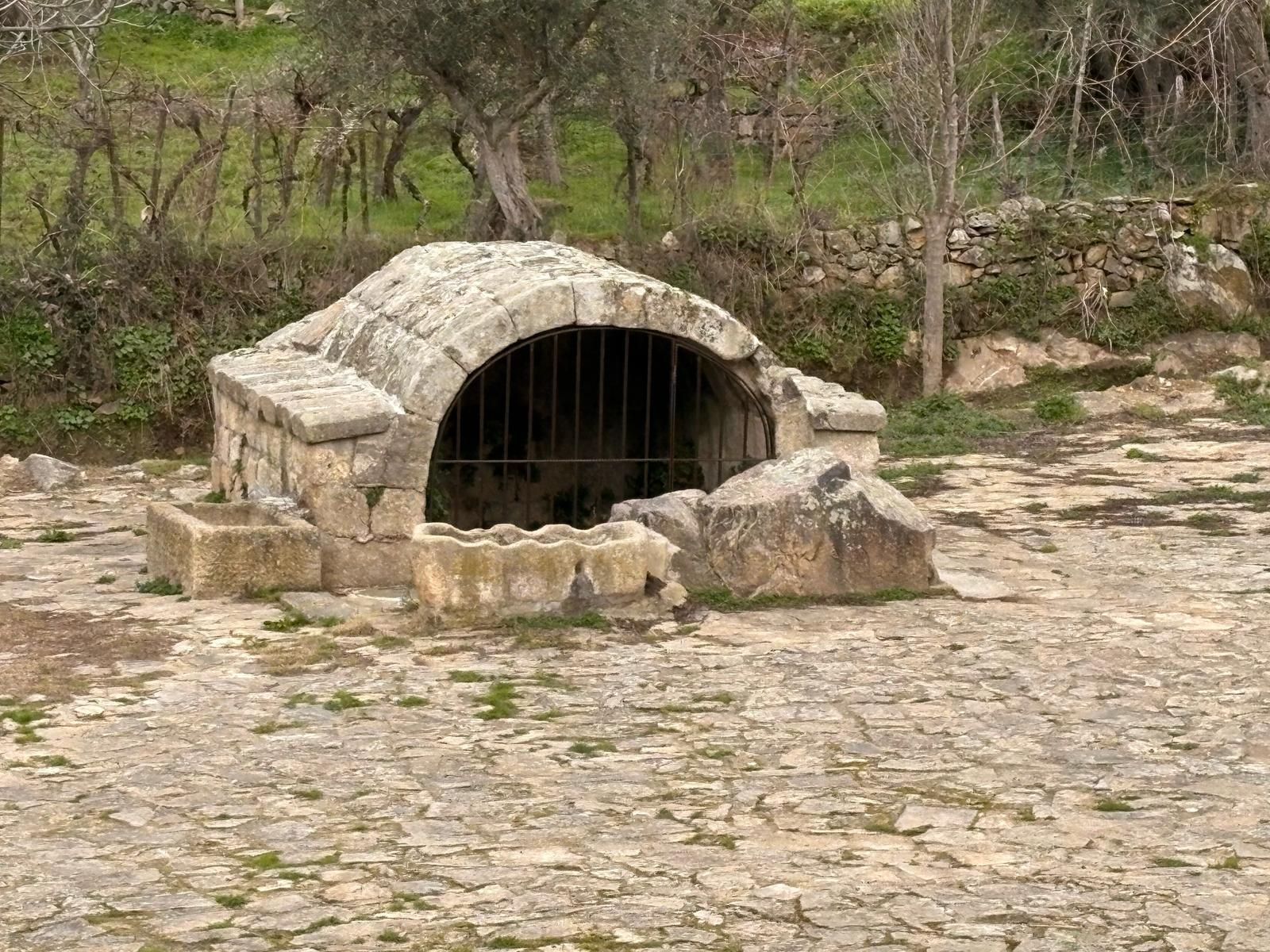 whatsapp-image-2025-02-15-at-11-08-02