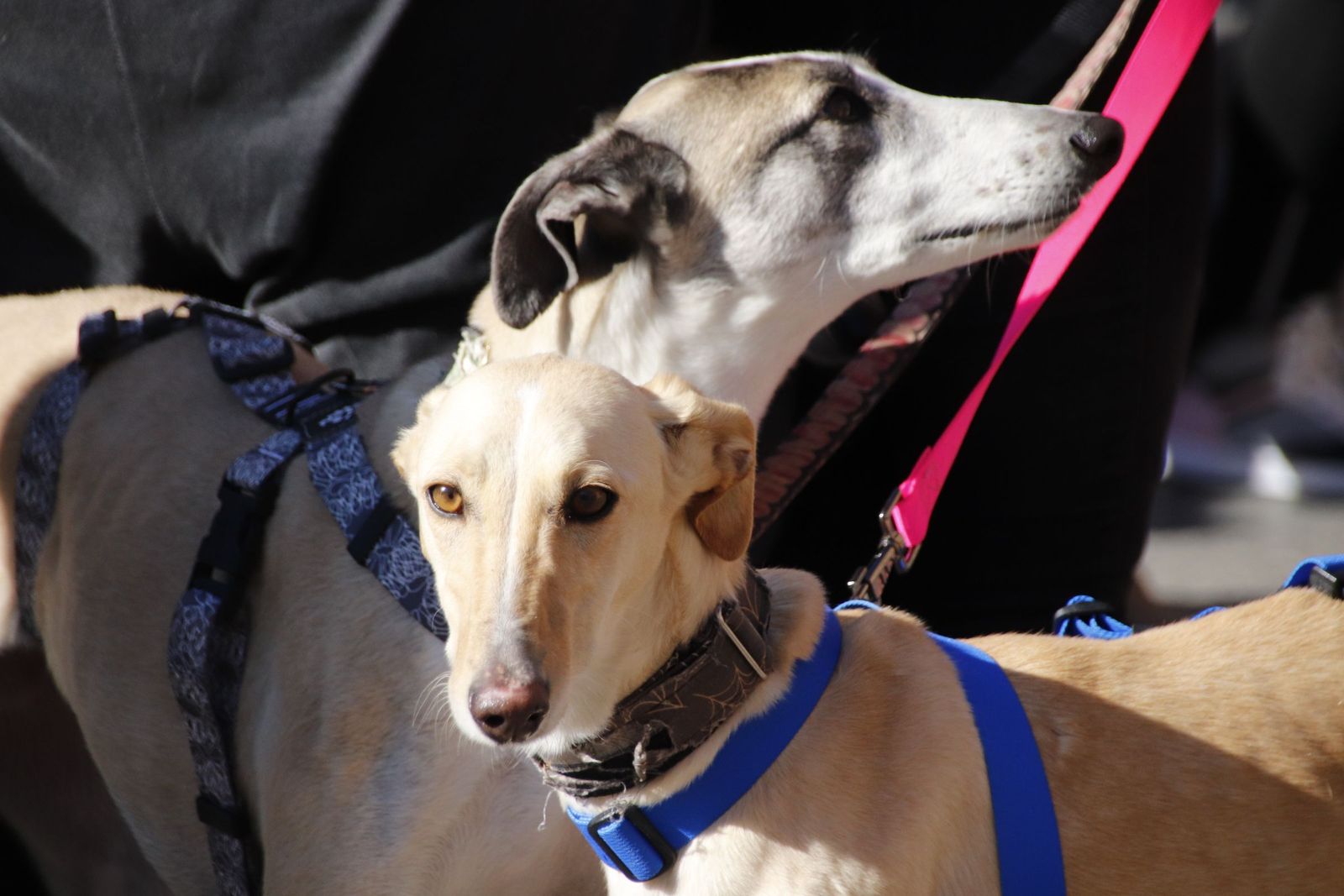 20230205121440-mg-5711