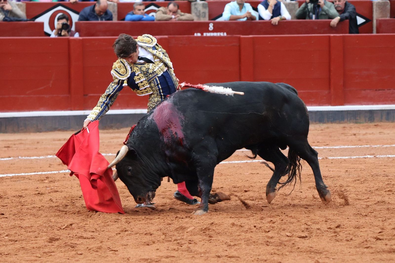 Sebastián Castella y 'Caramelo', un gran astado del hierro de Olga Jiménez. Foto Andrea M.
