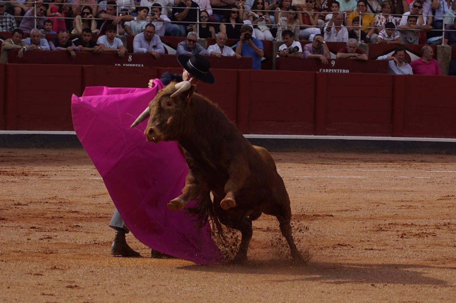 whatsapp-image-2025-06-12-at-21-26-01-6