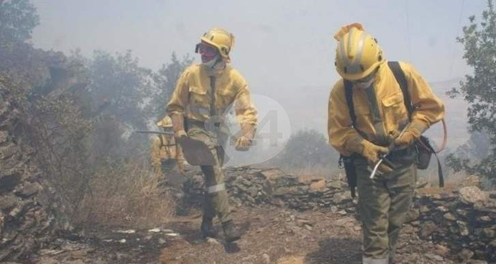 Calcinadas casi tres hectáreas de arbolado en Pelayos