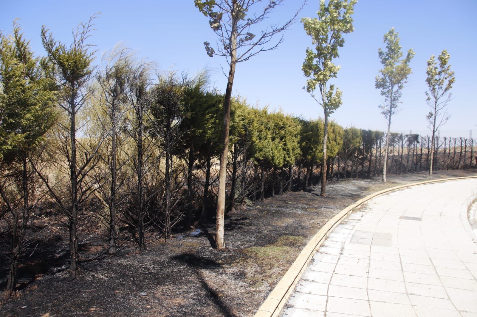 Incendio en Pizarrales