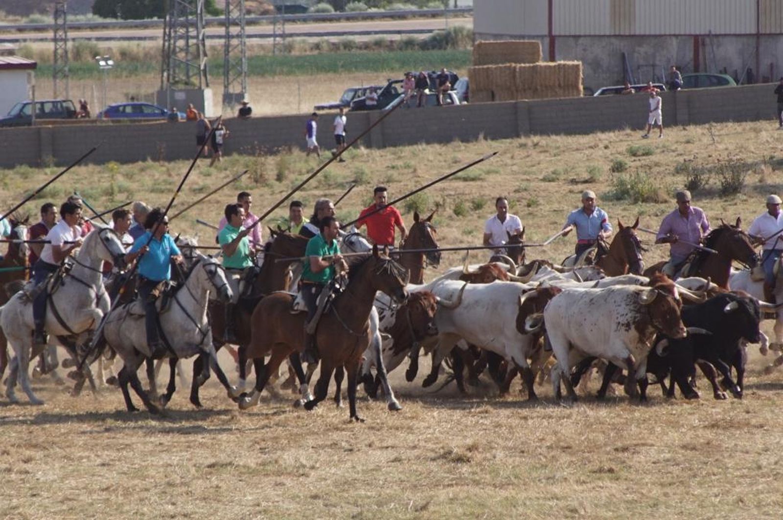 espantes-de-fuentesauco-10