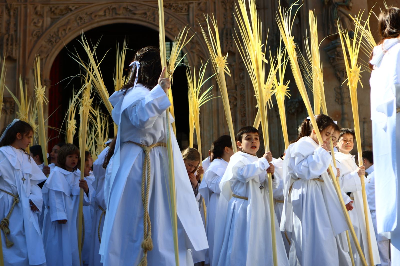 Procesión de la Borriquilla en Salamanca