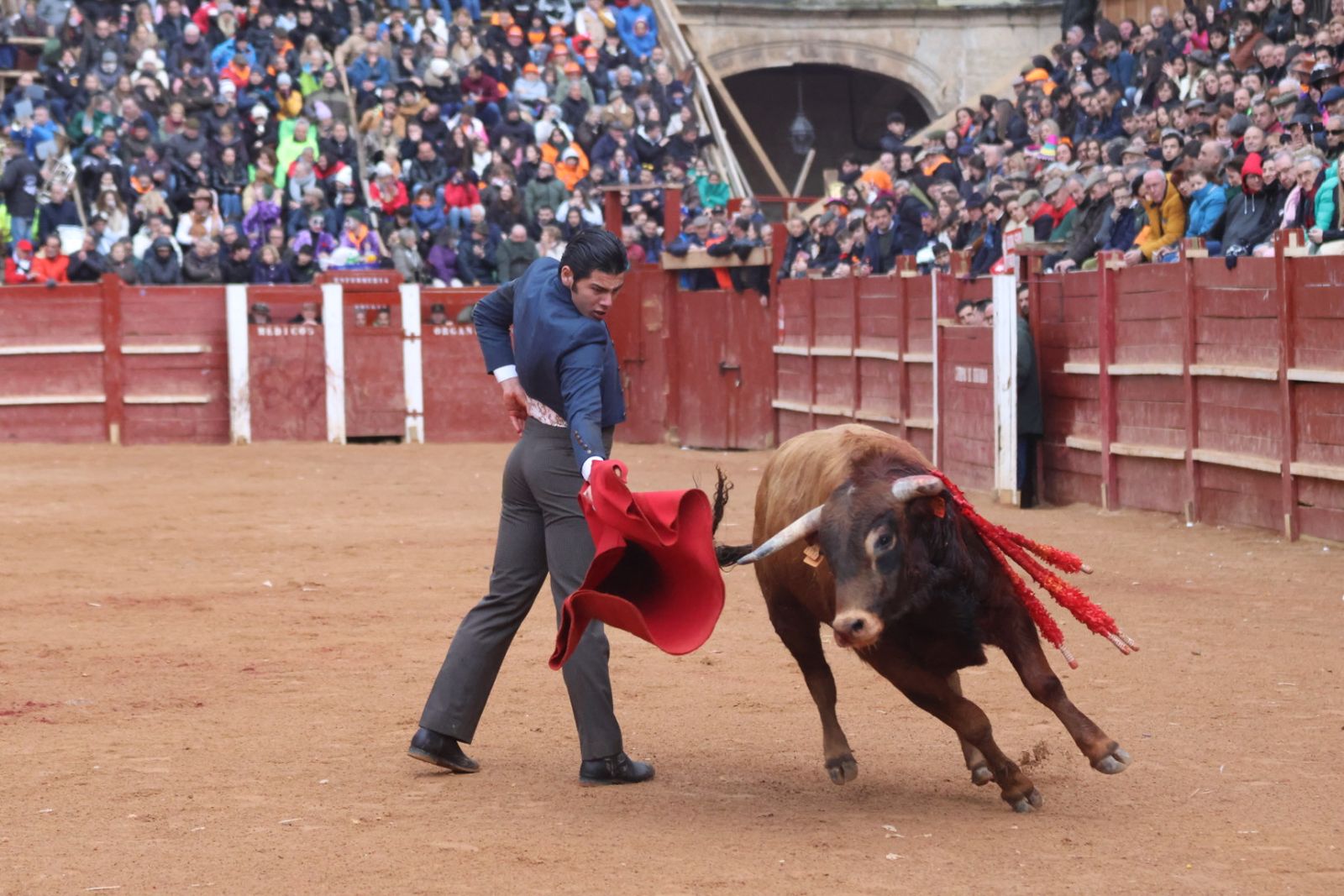 Novillada sin picadores del bolsín taurino y rejones en Ciudad Rodrigo