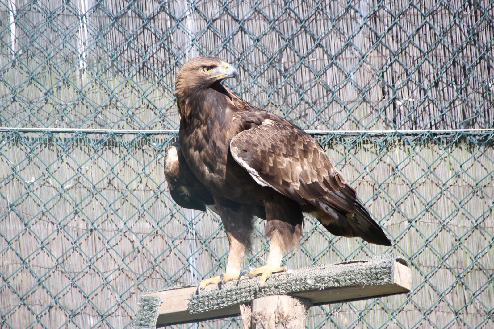 20230304150931-img-1636