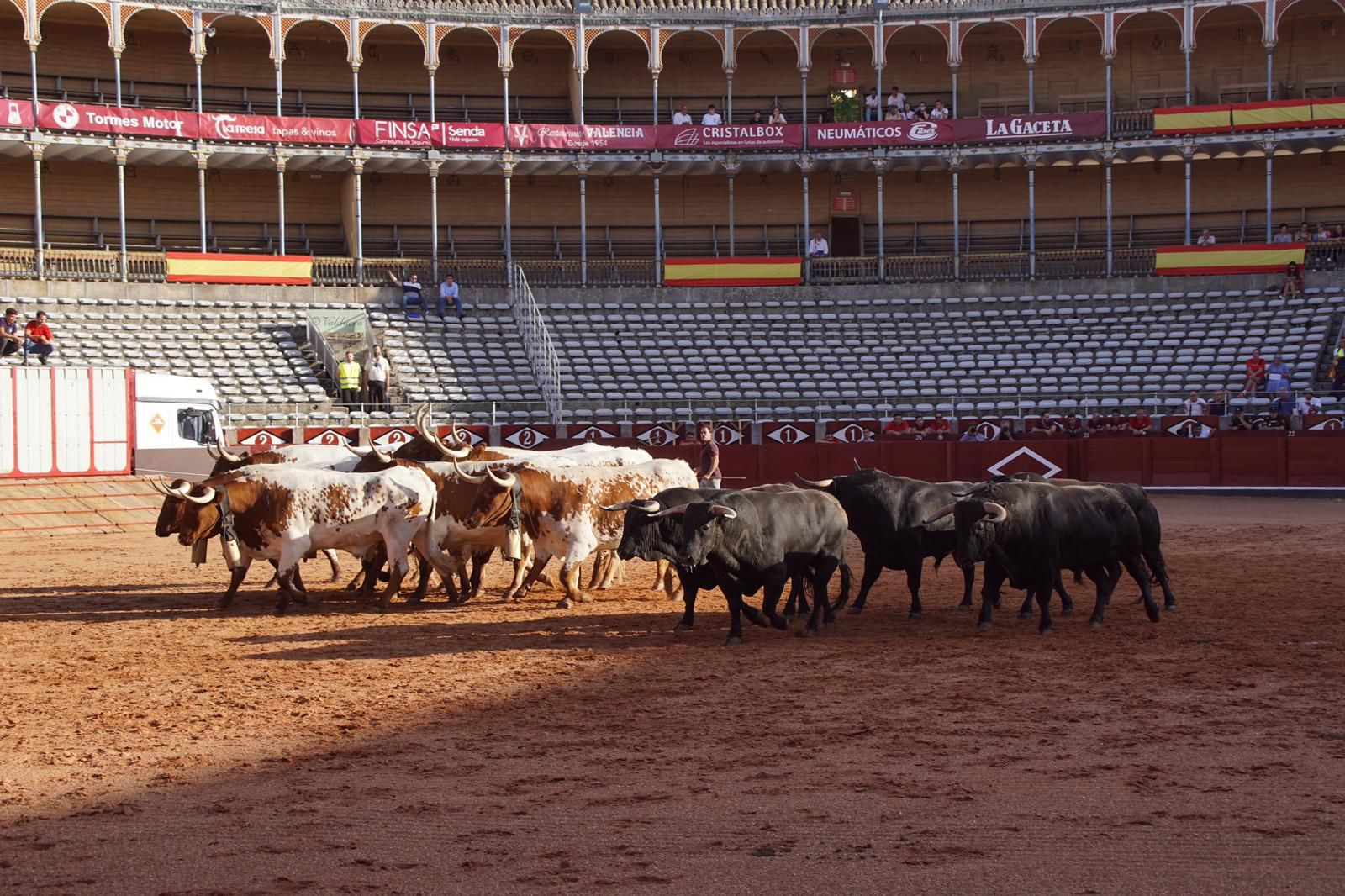 whatsapp-image-2023-09-08-at-19-29-34-1