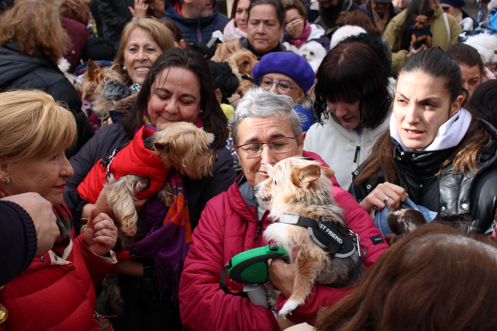 san-anton-bendicion-de-animales-2024-foto-s24h-69