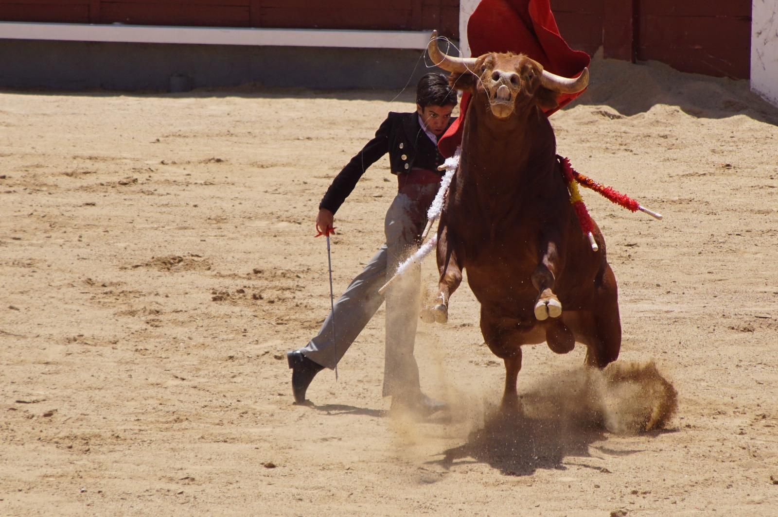 marco-perez-estreno-de-oro-en-las-ventas-11