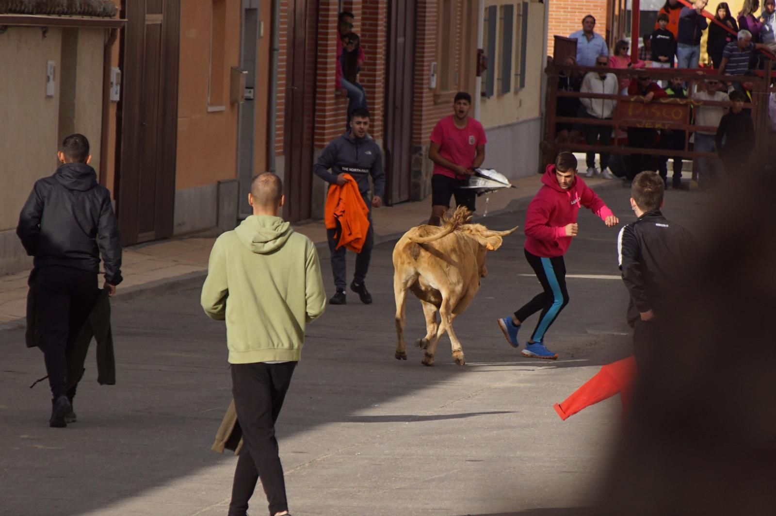 whatsapp-image-2024-09-08-at-14-04-56-8