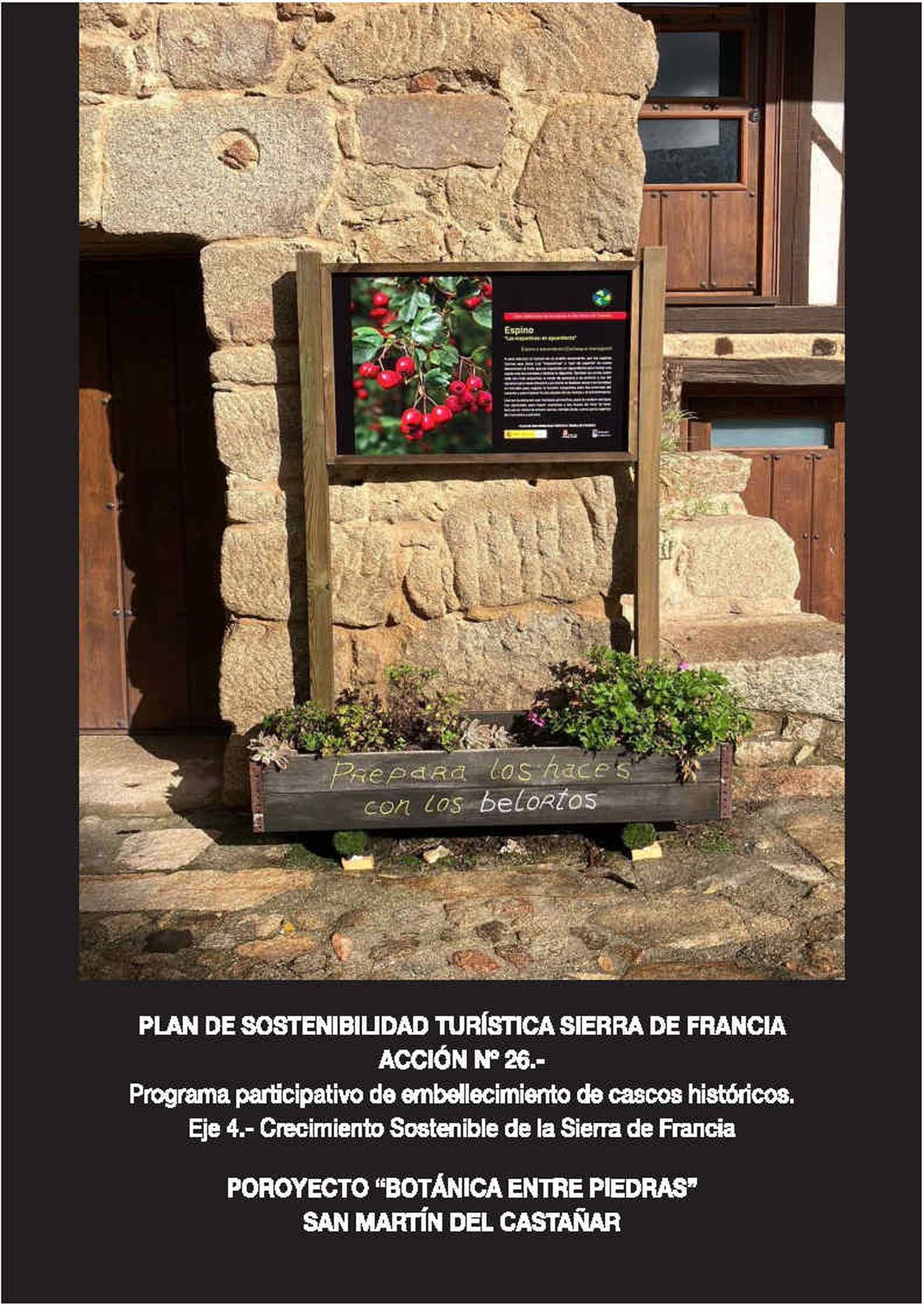  Exposición etnobotánica San Martín del Castañar