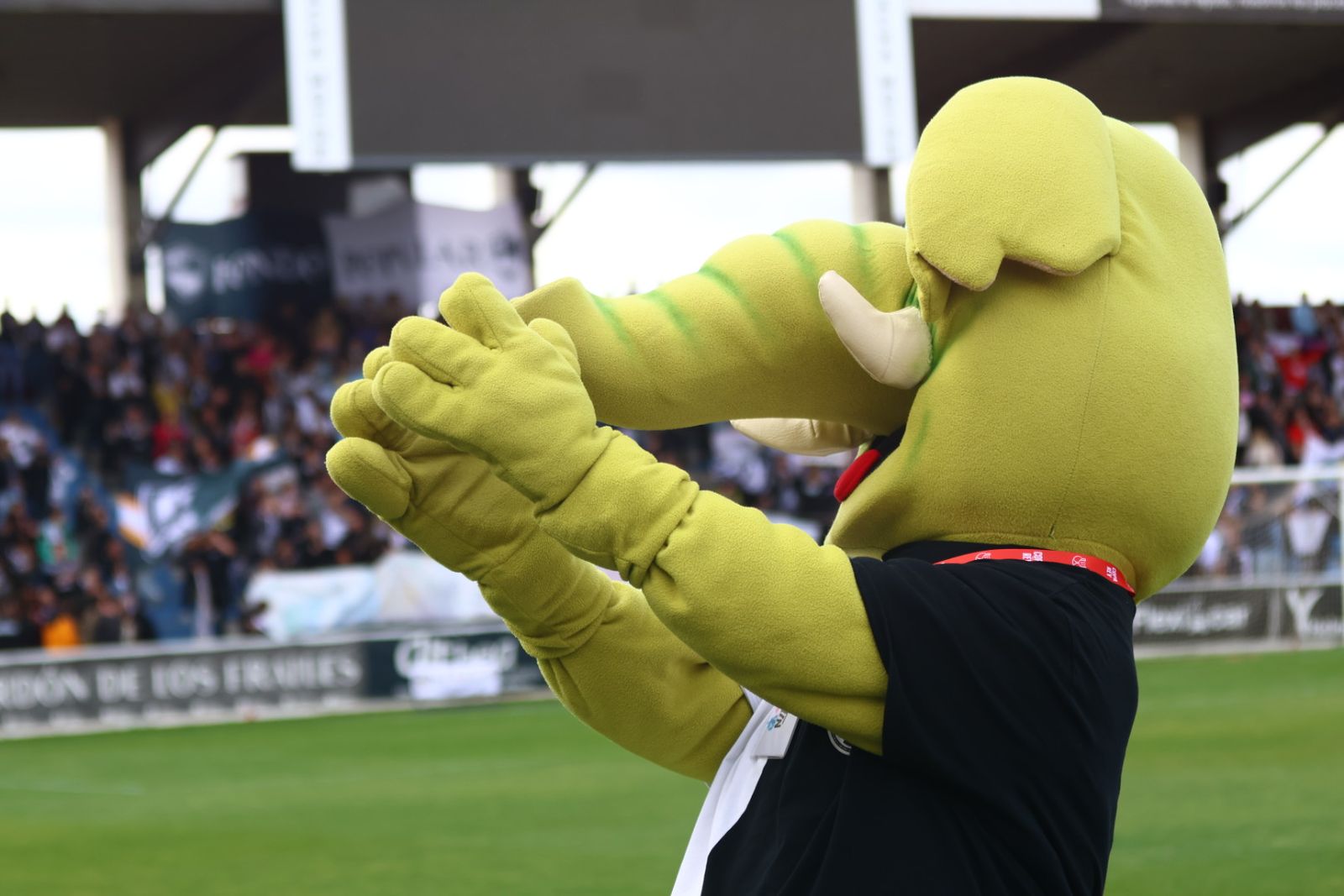 Unionistas de Salamanca - Guadalajara