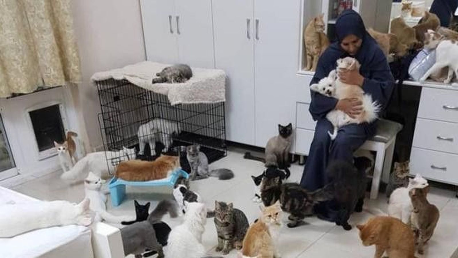 Mujer con gatos