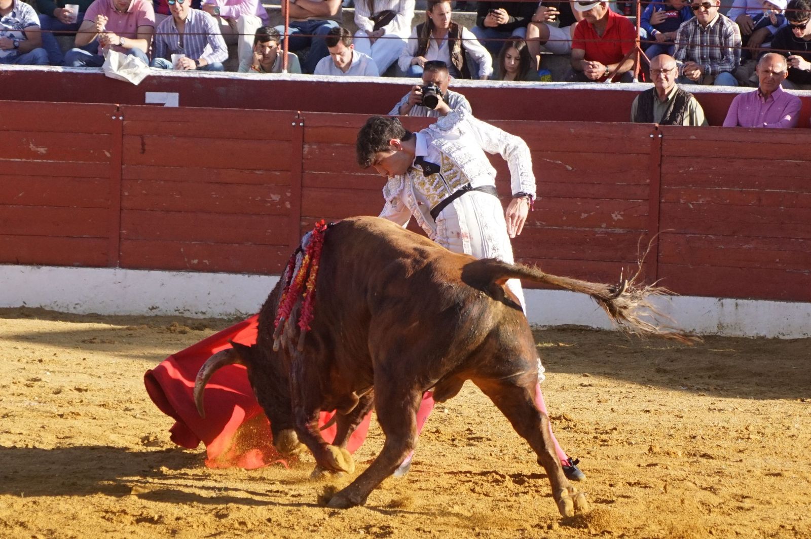 novillada-con-picadores-en-villoria-77