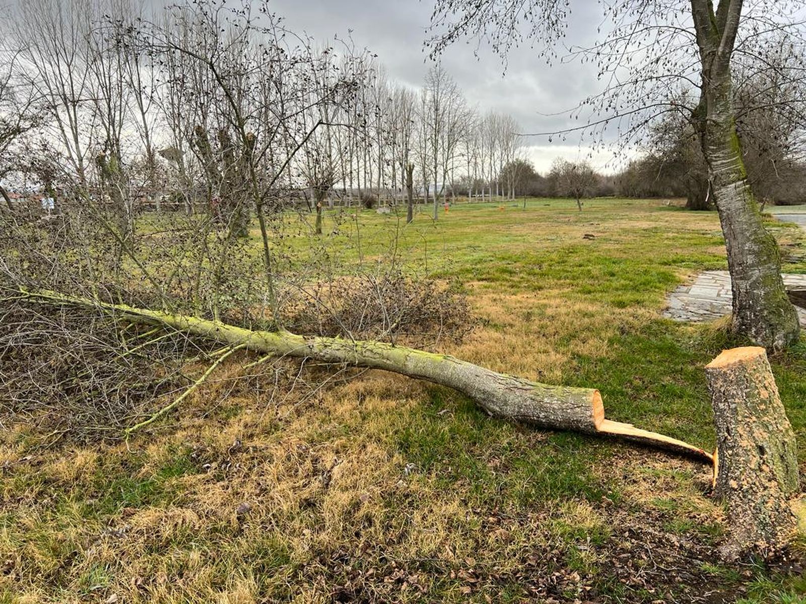 whatsapp-image-2024-01-04-at-13-16-42-2