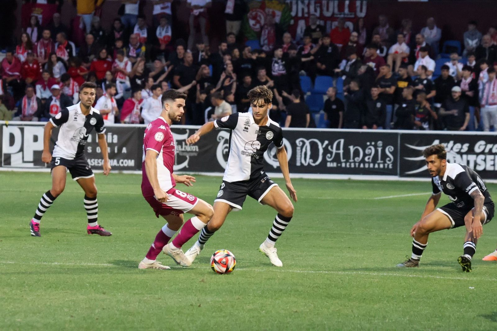 20230902195039-img-7420