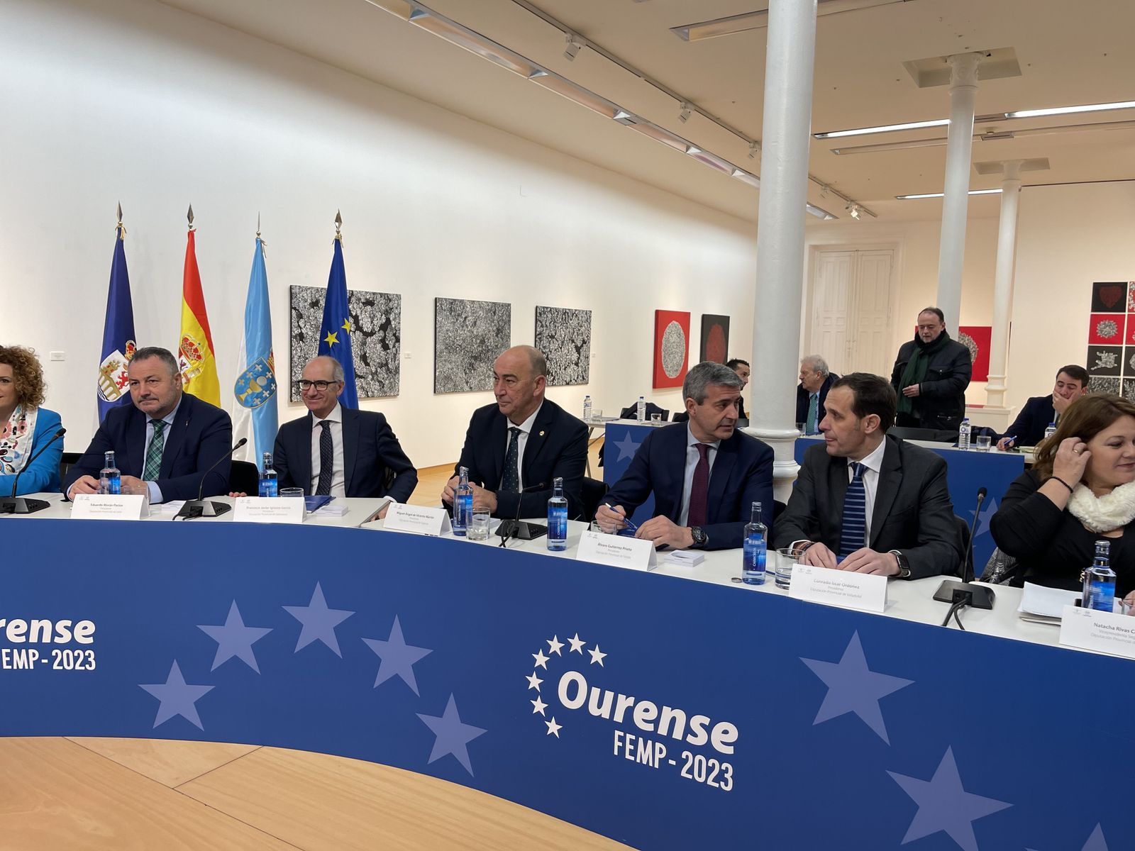 Reunión del Pleno de la Comisión de Diputaciones de la FEMP en Ourense