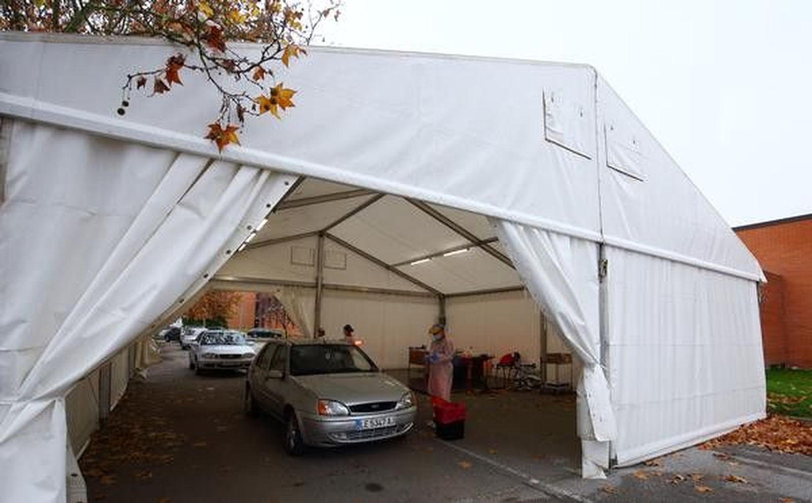 Carpas pcr ical (2) Carpas pcr ical (2)