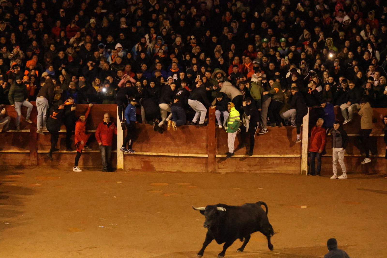 Capea Nocturna del Viernes en Ciudad Rodrigo