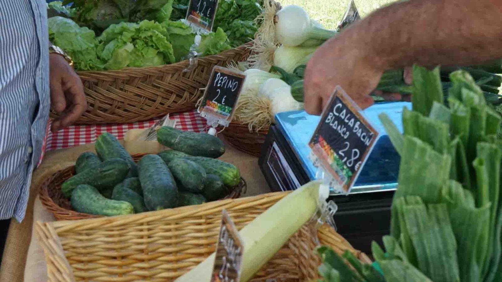 Mercado de Temporada