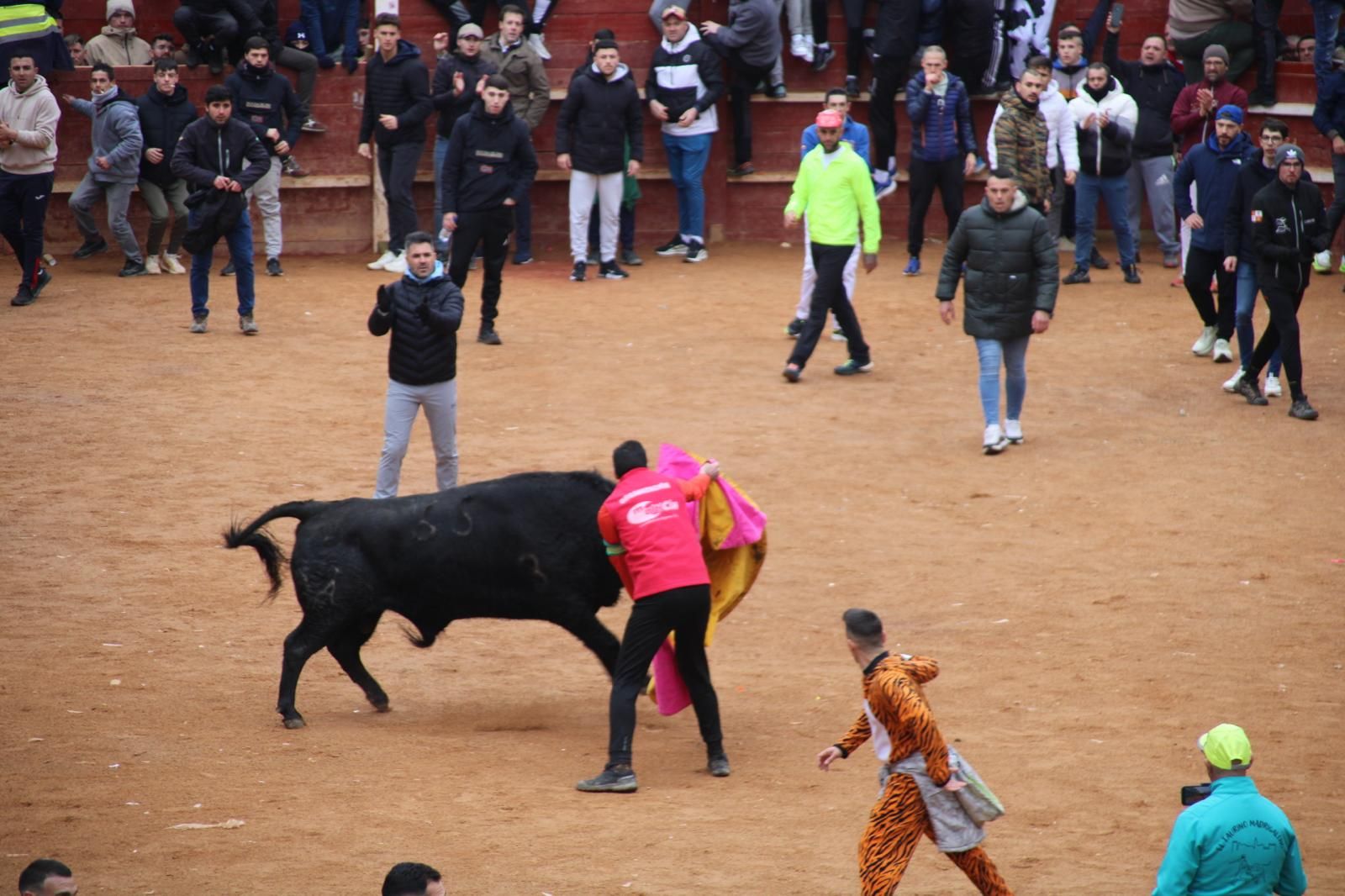 Encierro a Caballo en el Carnaval del Toro 2026 de Ciudad Rodrigo