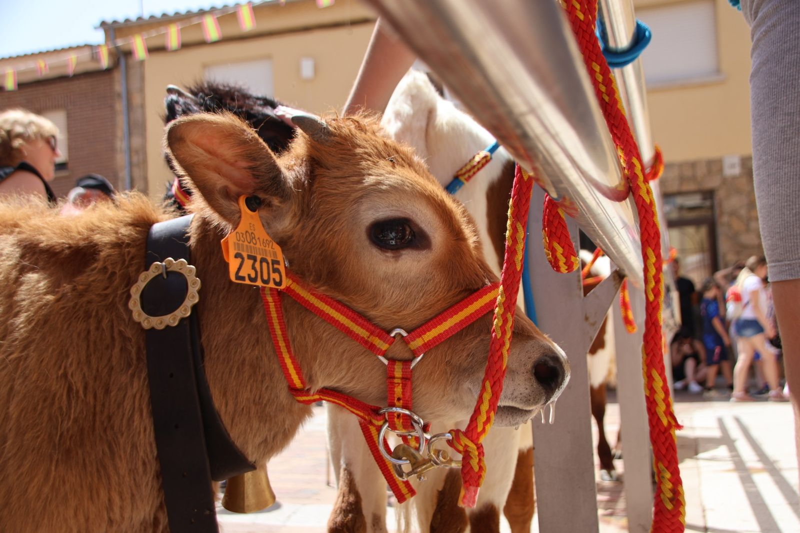 Castellanos de Villiquera, encierro infantil