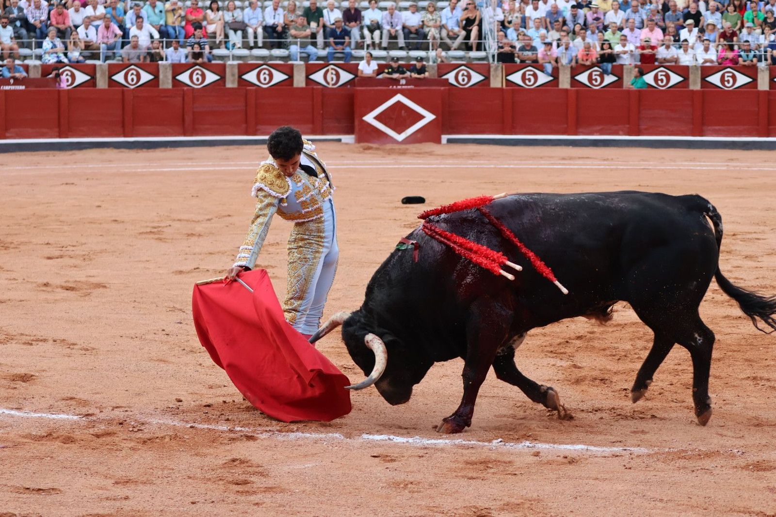 20230910190023-img-2210