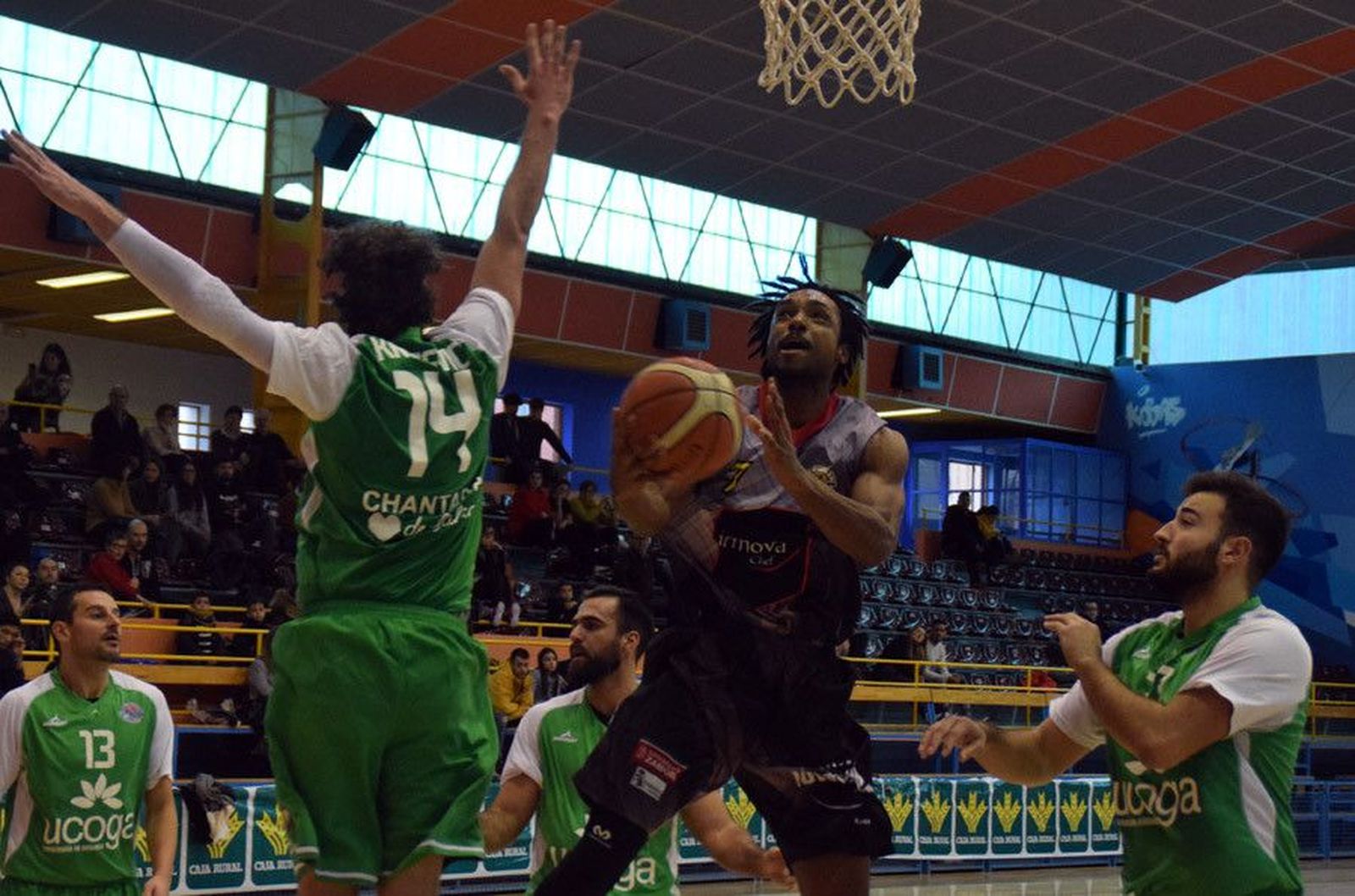 Dillard virgen concha