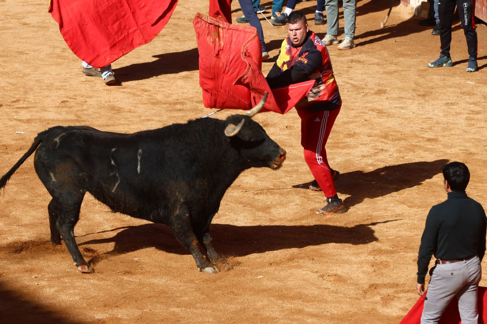Capea de mañana en el martes del Carnaval del Toro de Ciudad Rodrigo