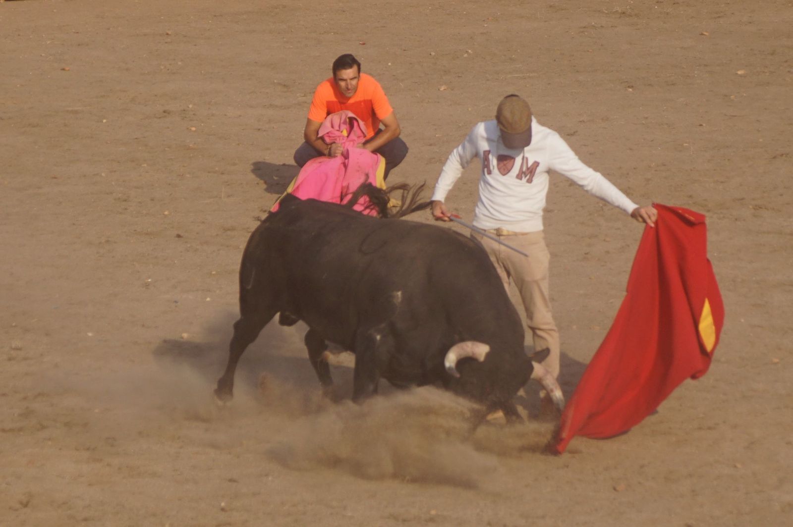 Carreras, risas y tradición: así se ha vivido El Toro en Santa Marta