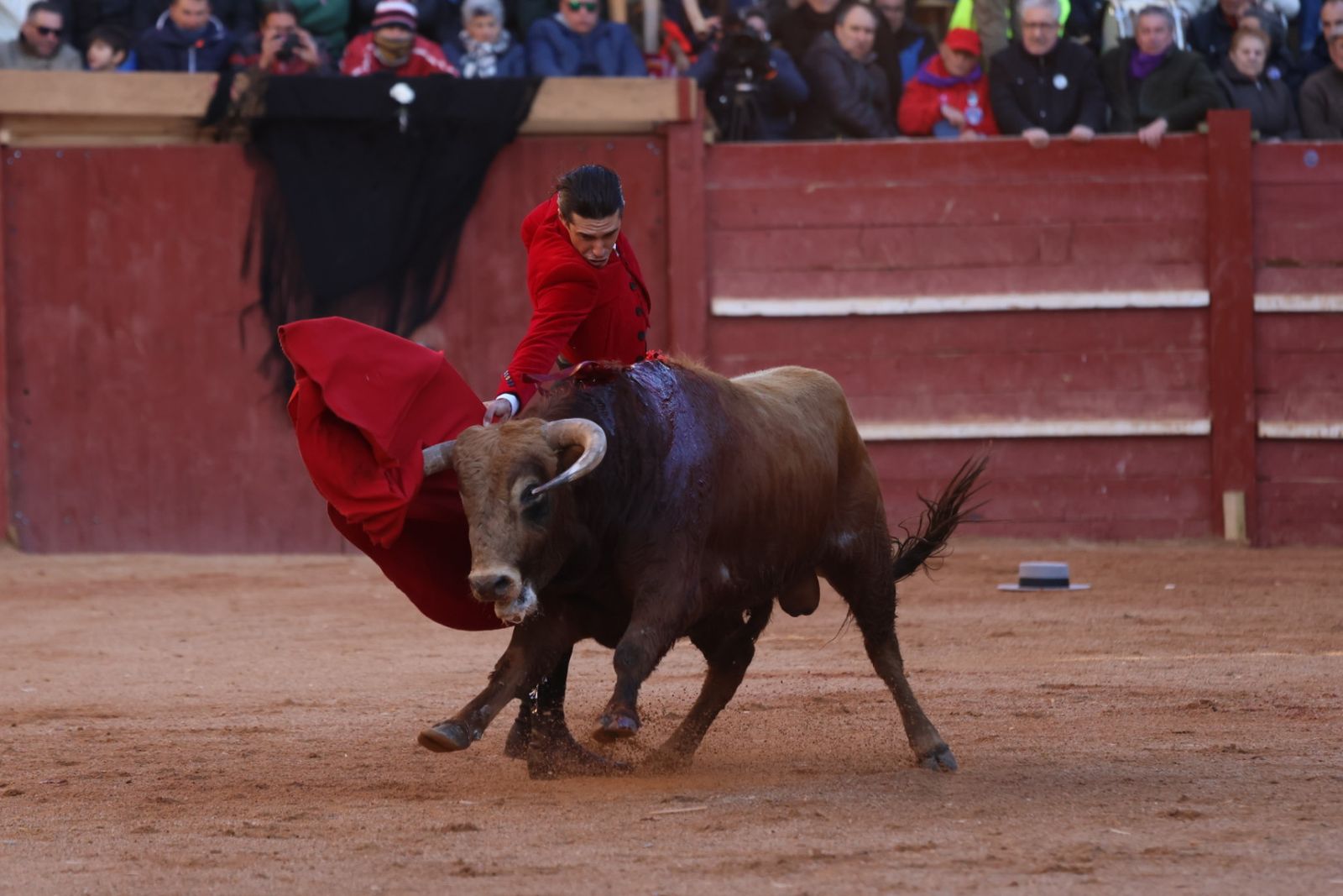 Festival taurino del Sábado en el Carnaval del Toro 2026 de Ciudad Rodrigo