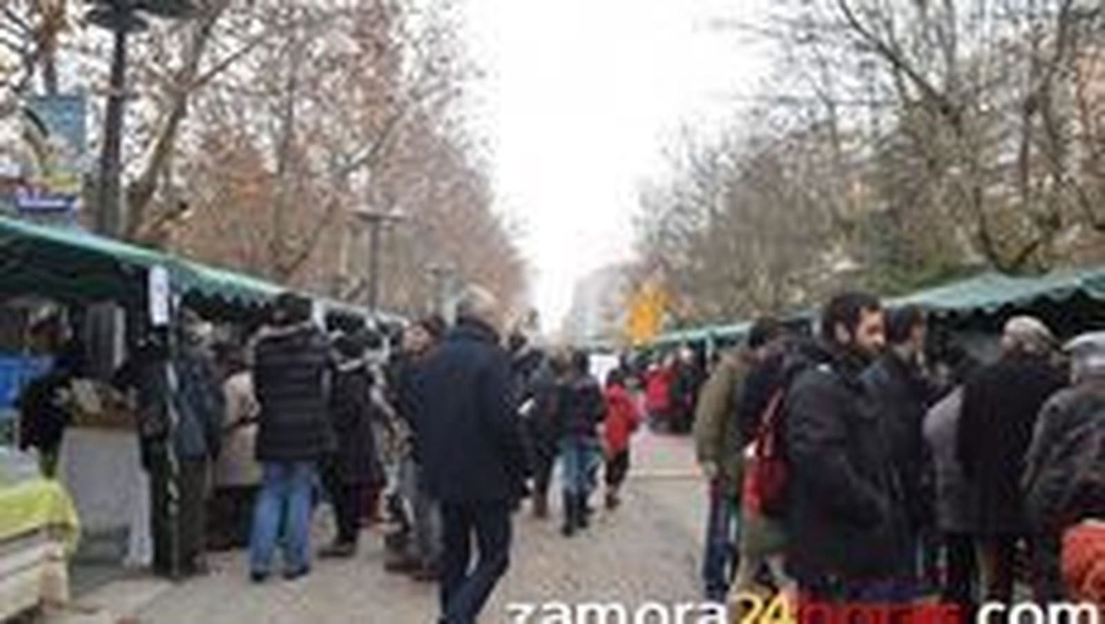 UPA-COAG califica de “fracaso” un mercado ecológico “convertido en escaparate político”