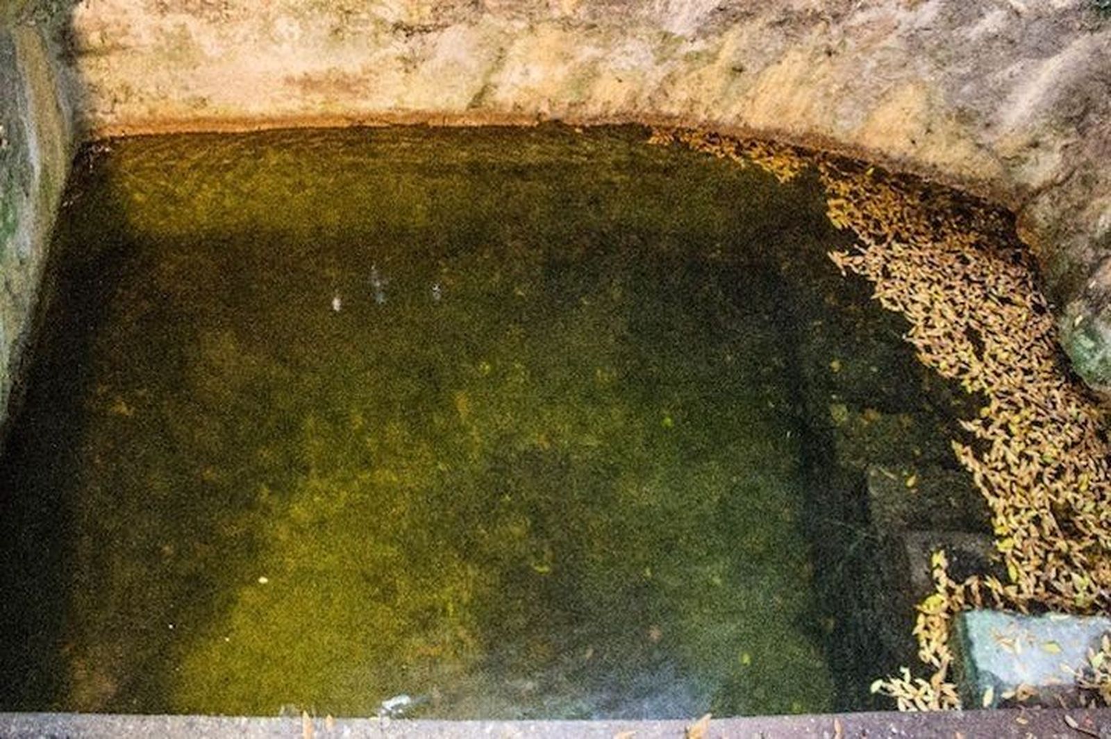 Zamora podría custodiar uno de los pocos mikve de la península ibérica